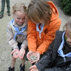 SAM 0585  Medium - Scouts en Gidsen Zaventem 